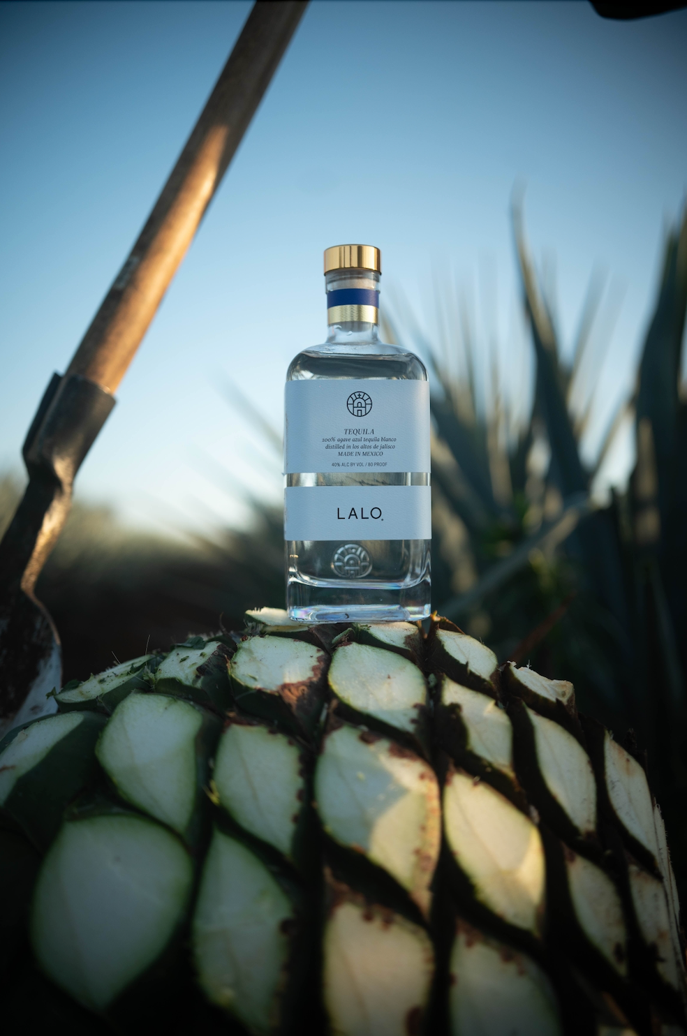 Made from Agave in the Heart of Jalisco, LALO Shines a Light on Mexican Culture