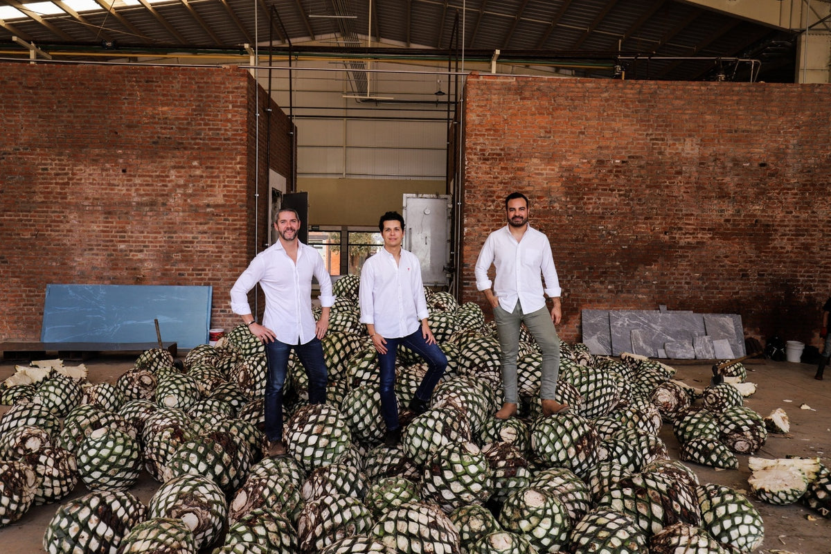 What Is Tequila Made From? From Blue Agave to Bottle